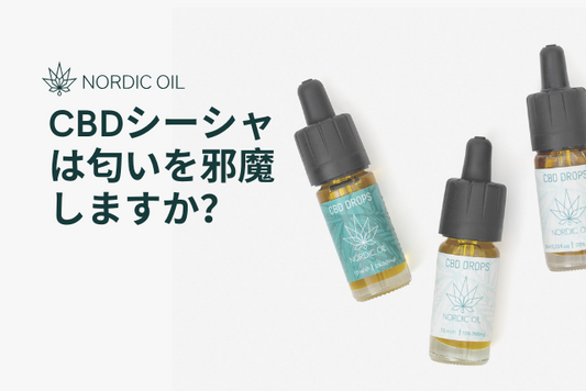 CBDシーシャは匂いを邪魔しますか？